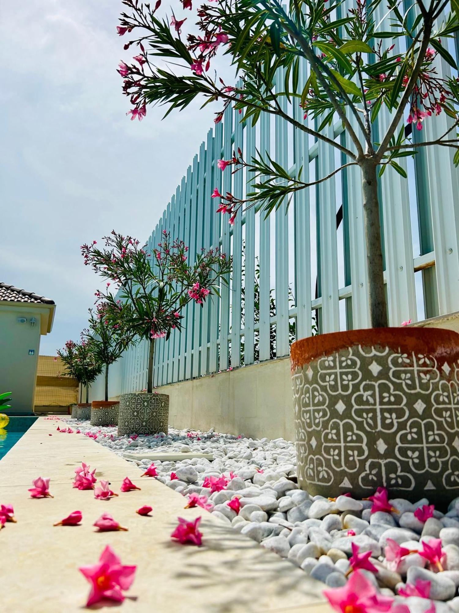 Alma Rezidence Bed & Breakfast ทูร์ดา ภายนอก รูปภาพ
